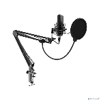 Микрофон Ritmix RDM-169 черный, фото 1