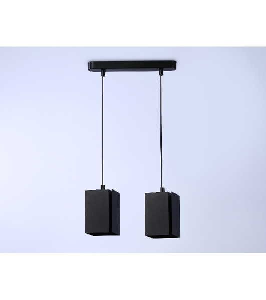 Светильник подвесной TN5133/2 BK черный E27/2 max 40W 260*80*1150