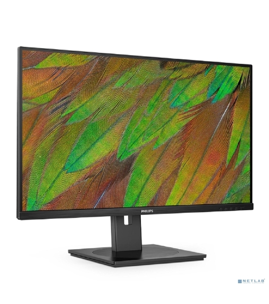 Монитор 31.5' Philips 32B1U3900 VA 3840x2160, 60 Гц, 4 мс, 16:9, 350 кд/м², HDMI 2.0, DP 1.4, USB-C (90 Вт), USB Hub (4x USB 3.2), 3.5 Jack, Ethernet, динамики (2x3 Вт), черный