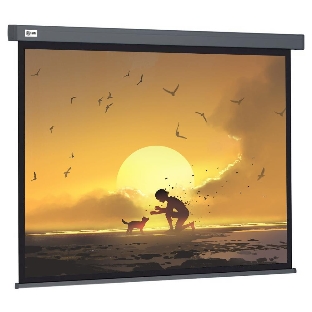 Экран Cactus 124.5x221 см Wallscreen CS-PSW-124X221-SG 16:9 настенно-потолочный рулонный серый