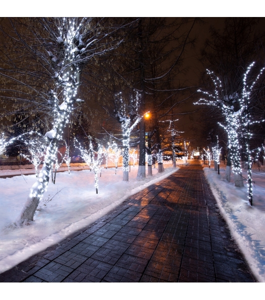 Гирлянда Neon-night LED Клип-лайт 12 V, прозрачный ПВХ, 150 мм, цвет диодов белый Flashing (белый)