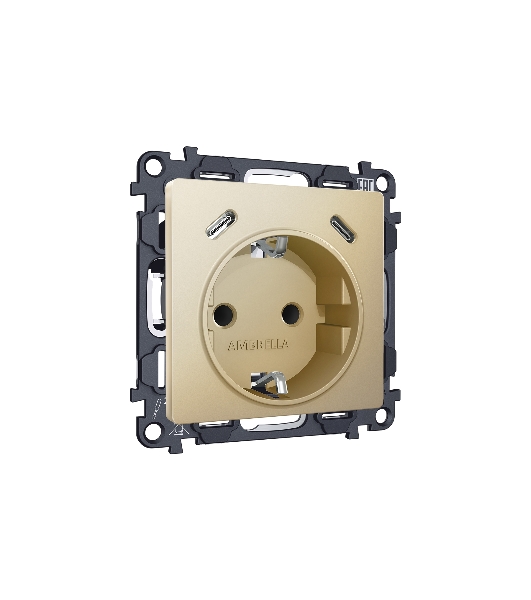 Комплект механизма электрической розетки 2USB С+C 20W (быстрая зарядка) с/з на винтовых зажимах 16A-250V ALFA Шампань QUANT (AP6105, VM165) MA610510