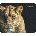 Коврик для мыши Defender Wild Animals и, 220x180x2 мм, 8 видов, фото12