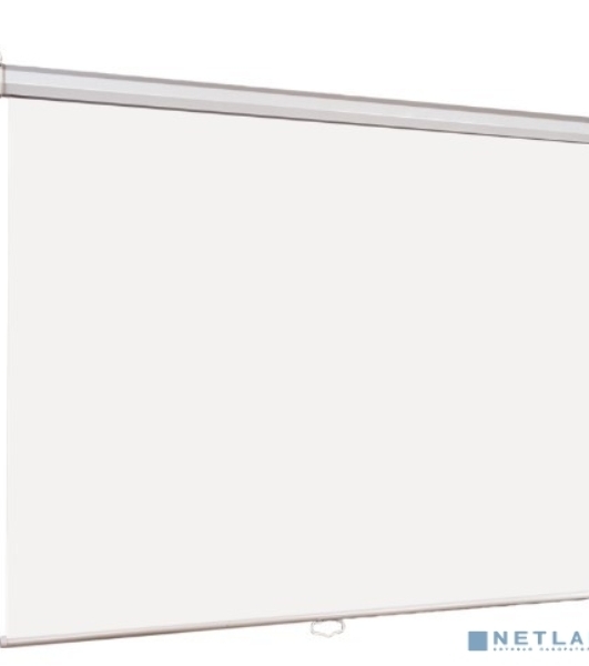 Экран Lumien 214x214см Eco Picture LEP-100110 1:1 настенно-потолочный рулонный