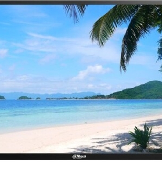 Монитор 31.5' Dahua DHI-LM32-F200 IPS 1920x1080, 240 кд/м2, 8 мс, 16:9, 4000:1, 1xVGA, 1xHDMI, 1хUSB, черный