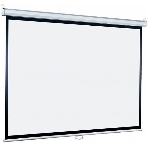 Экран Lumien 203x203см Eco Picture LEP-100109 1:1 настенно-потолочный рулонный, фото 1