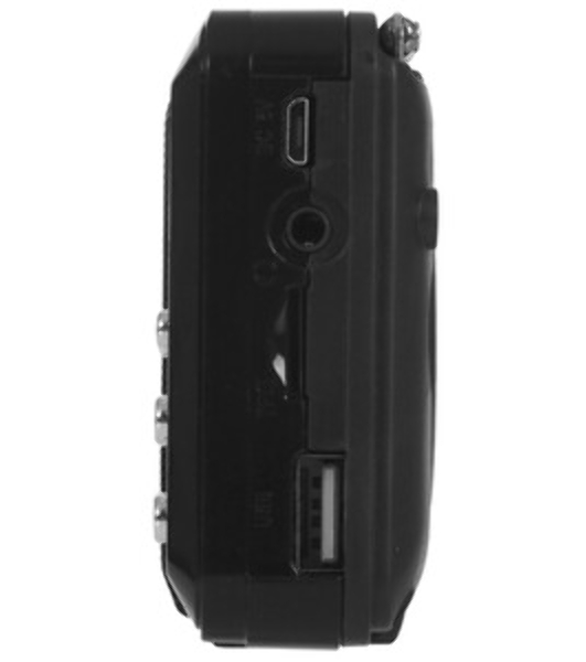 Радиоприемник SOUNDMAX SM-RD2116 черный