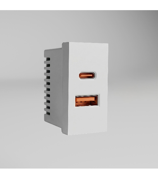 Модульная розетка USB тип A+C 45*22,5 (белый) W1272701