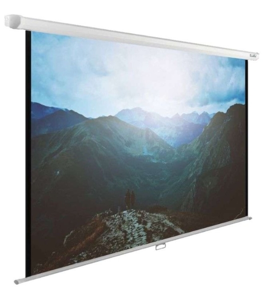 Экран Cactus 240x240 см WallExpert CS-PSWE-240x240-WT 1:1 настенно-потолочный рулонный
