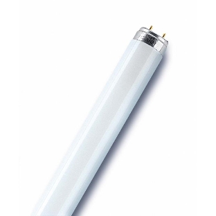 Лампа люминесцентная Osram L18W/640 G13