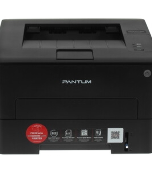 Принтер лазерный Pantum P3020D, А4, ч/б, печ. до 30 стр/мин., 600 x 600 dpi, USB, проектная модель