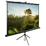 Экран Cactus 200x200 см TriExpert CS-PSTE-200х200-BK 1:1 напольный рулонный, фото3