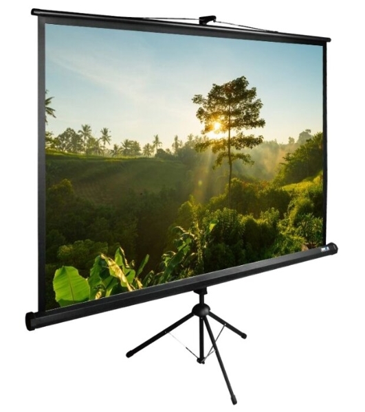 Экран Cactus 200x200 см TriExpert CS-PSTE-200х200-BK 1:1 напольный рулонный