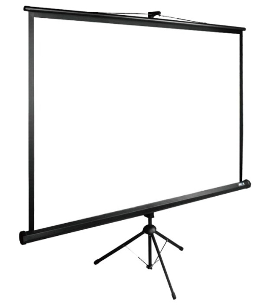 Экран Cactus 200x200 см TriExpert CS-PSTE-200х200-BK 1:1 напольный рулонный