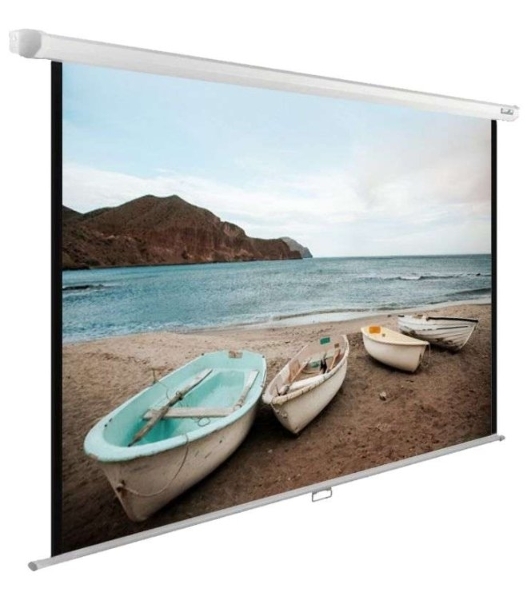 Экран Cactus 138x220см WallExpert CS-PSWE-220x138-WT 16:10 настенно-потолочный рулонный белый