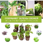Набор питательных губок Cactus CS-SPONGE-10 для проращивания для CS-LEDPOT-06/08/10 (упак.:10шт) пакет, фото4