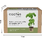 Набор питательных губок Cactus CS-SPONGE-20 для проращивания (упак.:20шт) коробка, фото 1
