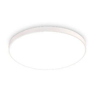Потолочный светодиодный светильник Ambrella light FZ1201 WH белый IP54 18W 5000K D270*60 (без ПДУ)