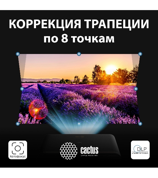 Проектор Cactus CS-H3.SG DLP 16800Lm (1920x1080) 200000:1 ресурс лампы:20000часов 1xUSB typeA 1xHDMI 3.1кг