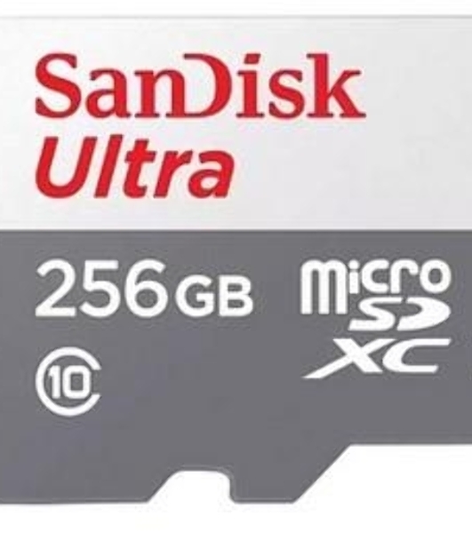 Флеш карта MICRO SDXC 256Gb UHS-I SDSQUNR-256G-GN3MN SANDISK