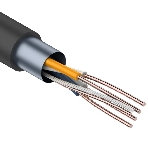 Кабель витая пара Rexant FTP 2PR 24AWG, cat.5e наружный (OUTDOOR) (бухта 305 м), фото 1