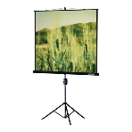 Экран на треноге Lumien 220x165 см Master View LMV-100113 4:3 напольный рулонный, фото 1