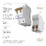 Автоматический выключатель Werkel 2P  10 A  C  4,5 кА W902P104, фото3