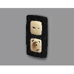 Лицевая панель OMEGA (Шампань) для электрической розетки с/з со шторками 2USB A+C QUANT OP6100, фото 1
