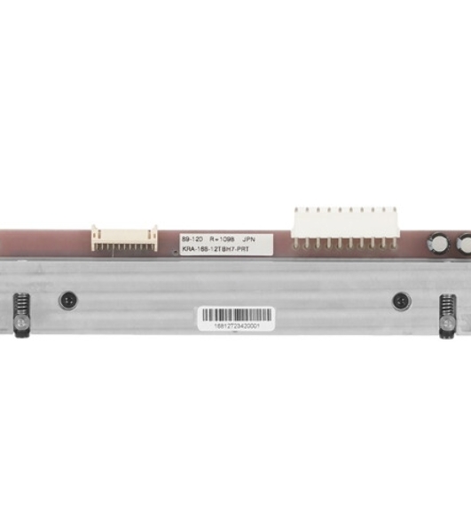 Печатающая головка iDPRT ASSY: iX6P Printhead 300DPI