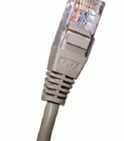 Патч-корд 2-х парный TWT UTP cat.5e, с заливными колпачками, 1.0 м, серый