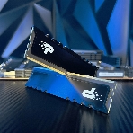 Оперативная память Patriot Signature Premium, DDR5, 32GB (2x16 GB), 4800 MHz, CL40, DIMM, радиатор, черный, фото12