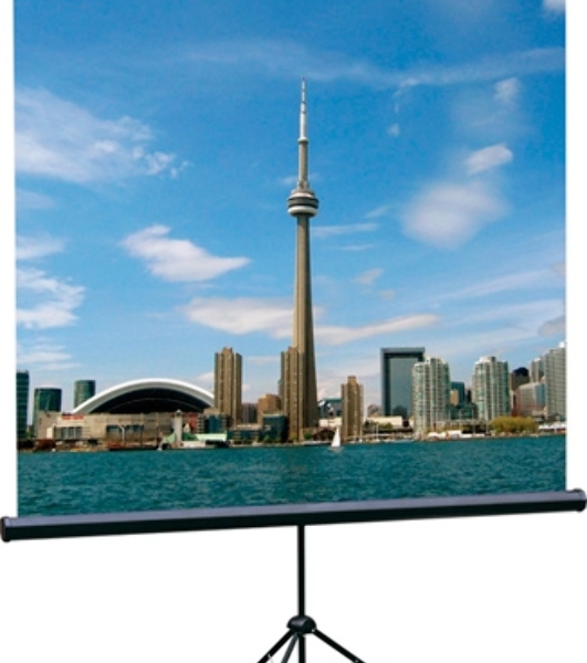 Экран на треноге Lumien 160x160см Eco View LEV-100105 1:1 напольный рулонный
