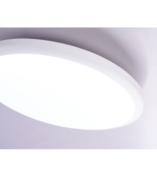 Потолочный светодиодный светильник Ambrella light FZ1230 WH белый IP44 22W 6400К D260*55 (Без ПДУ)