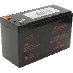 Батарея для ИБП Powerman Battery 12V/9AH CA1290, фото 1