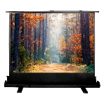 Экран Cactus 135x180 см FloorExpert CS-PSFLE-180X135 4:3 напольный рулонный, фото2