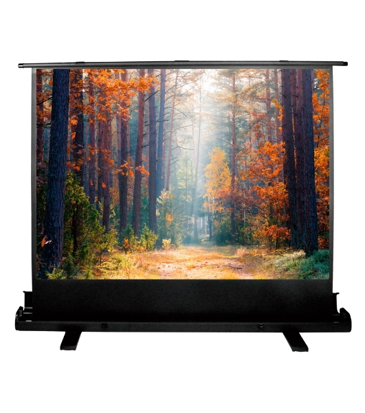 Экран Cactus 135x180 см FloorExpert CS-PSFLE-180X135 4:3 напольный рулонный
