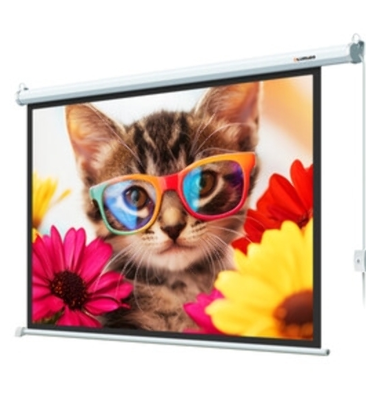 Экран с электроприводом Lumien Eco Control 187x280 см (раб. область 153х272 см) Matte White черная кайма по периметру 16:9
