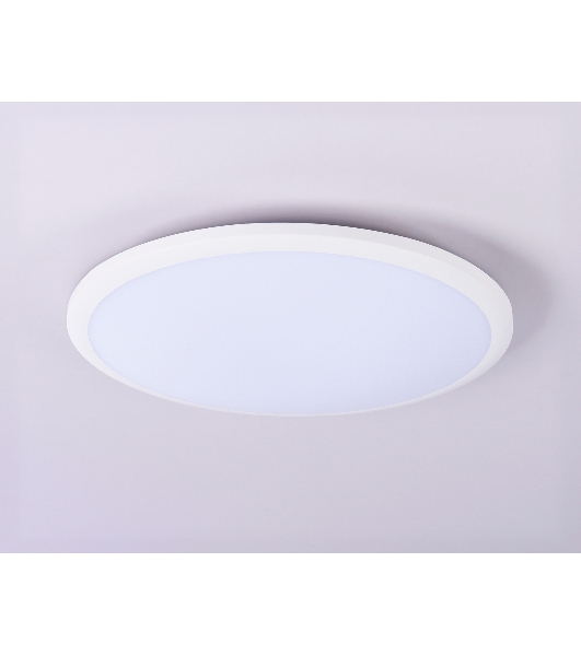 Потолочный светодиодный светильник Ambrella light FZ1231 WH белый IP44 42W 6400К D370*55 (Без ПДУ)