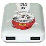 Портативный аккумулятор RITMIX RPB-10007 Lama, фото 1