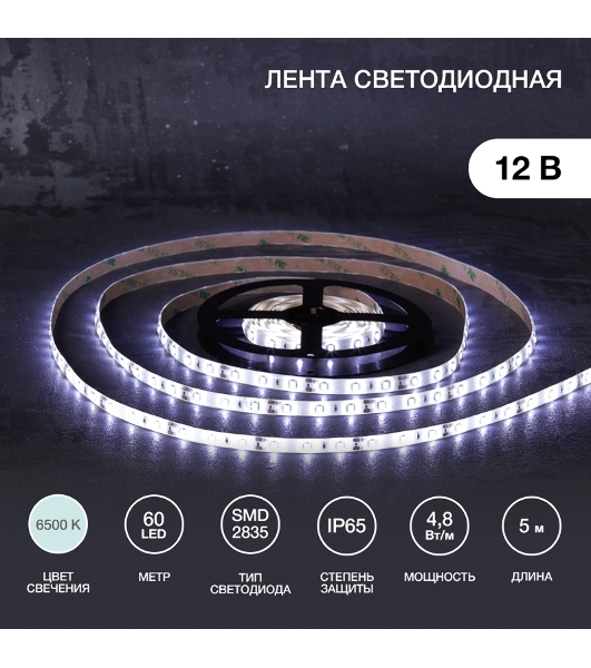 Лента светодиодная 5 м 12 В 2835 6500 К IP65 60 LED/м для БП с клеммами LAMPER