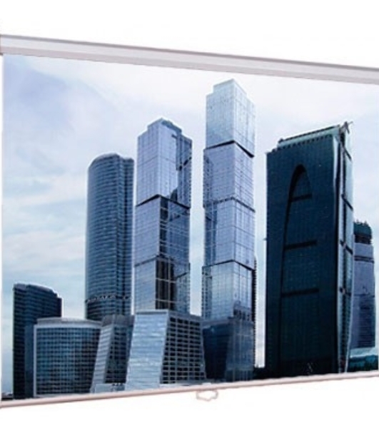 Экраны LUMIEN Eco Picture LEP-100101, 150х150 см, 1:1