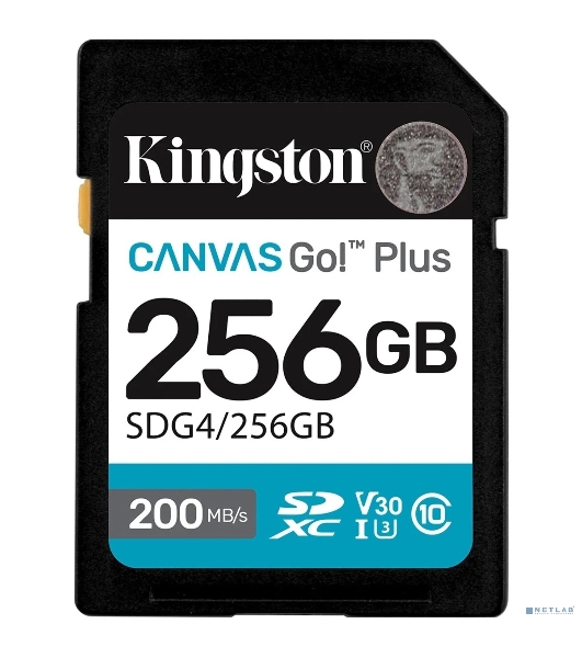 Флеш карта SDXC 256Gb Kingston SDG4/256Gb Canvas Go! Plus V30