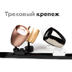 Насадка для корпуса светильника N7014 PYG золото желтое полированное D70*H20mm Out2mm MR16, фото3