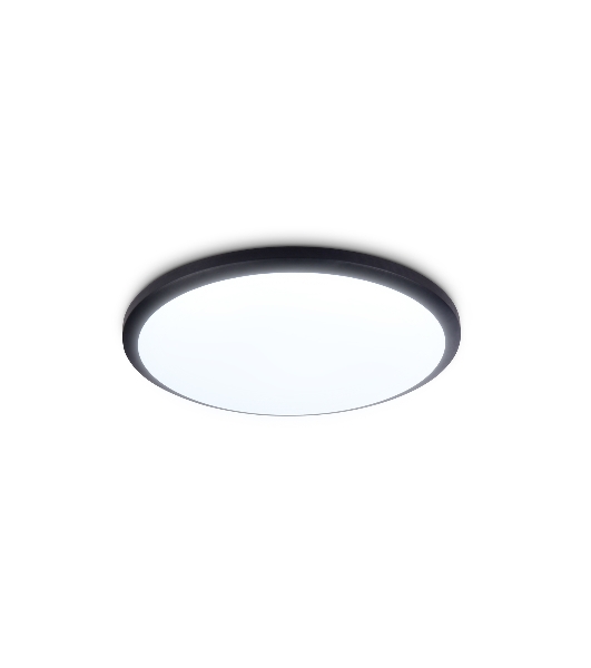 Потолочный светодиодный светильник Ambrella light FZ1233 BK черный IP44 22W 6400К D260*55 (Без ПДУ)
