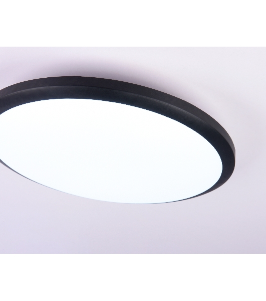 Потолочный светодиодный светильник Ambrella light FZ1233 BK черный IP44 22W 6400К D260*55 (Без ПДУ)