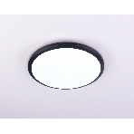 Потолочный светодиодный светильник Ambrella light FZ1233 BK черный IP44 22W 6400К D260*55 (Без ПДУ), фото9