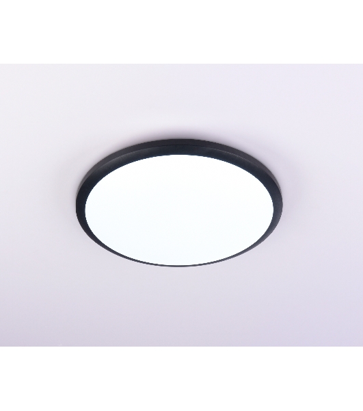 Потолочный светодиодный светильник Ambrella light FZ1233 BK черный IP44 22W 6400К D260*55 (Без ПДУ)