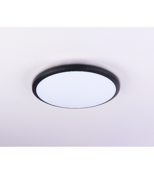 Потолочный светодиодный светильник Ambrella light FZ1233 BK черный IP44 22W 6400К D260*55 (Без ПДУ)