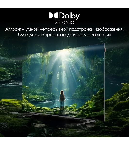 Телевизор Digma 55' Pro 55M черный/серебристый OLED 4K UHD 120Hz Google TV