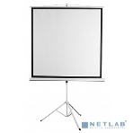 Экран 172x172см Digis Kontur-D DSKD-1104 1:1 напольный рулонный, фото3